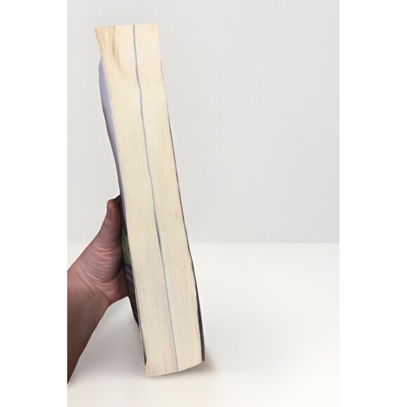 Wicked by Gregory Maguire 2007 Paperback – Fantasy Fiction Novel Oz Retelling - Picture 4 of 4